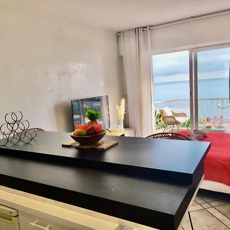 Sea Front Yourhosthelper 公寓 尼斯